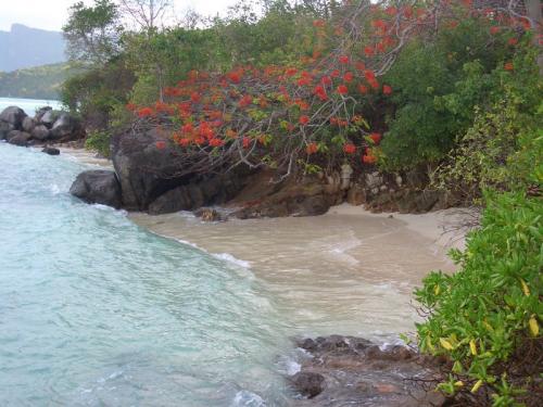 Самый дорогой в мире частный остров выставлен на продажу