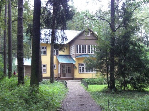 Виллы зажиточных москвичей угрожают поселку, вдохновившему Пастернака на 