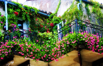 озеленение, балкон, нюансы