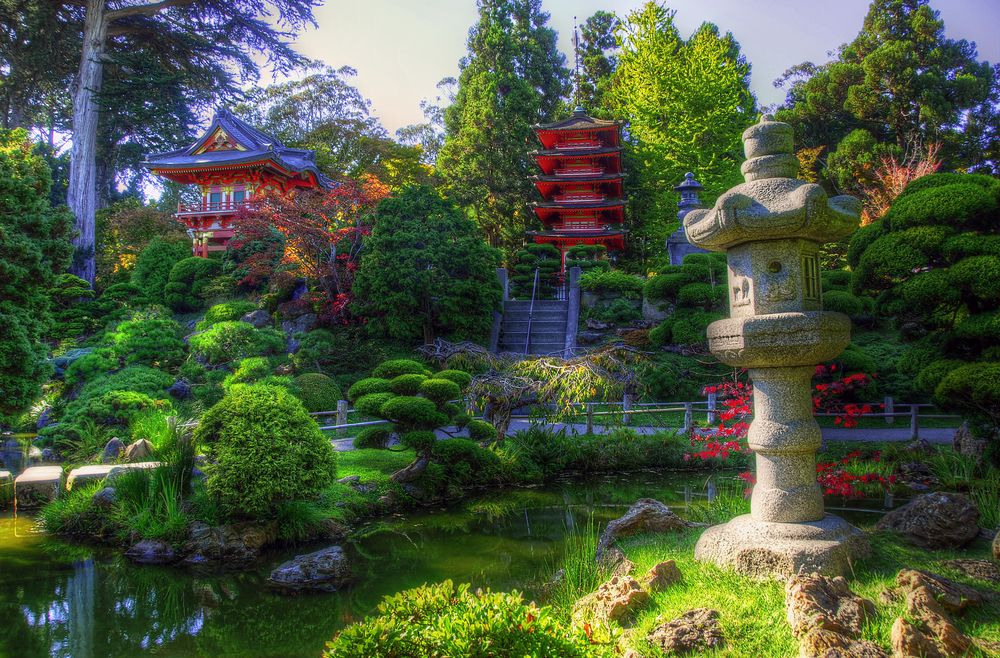 Ландшафтний дизайн: як вибрати рослини для японського саду